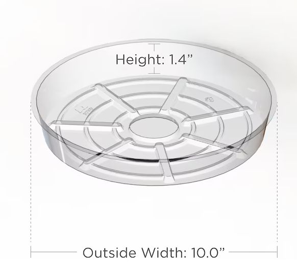 Clear Saucer, 10&quot;