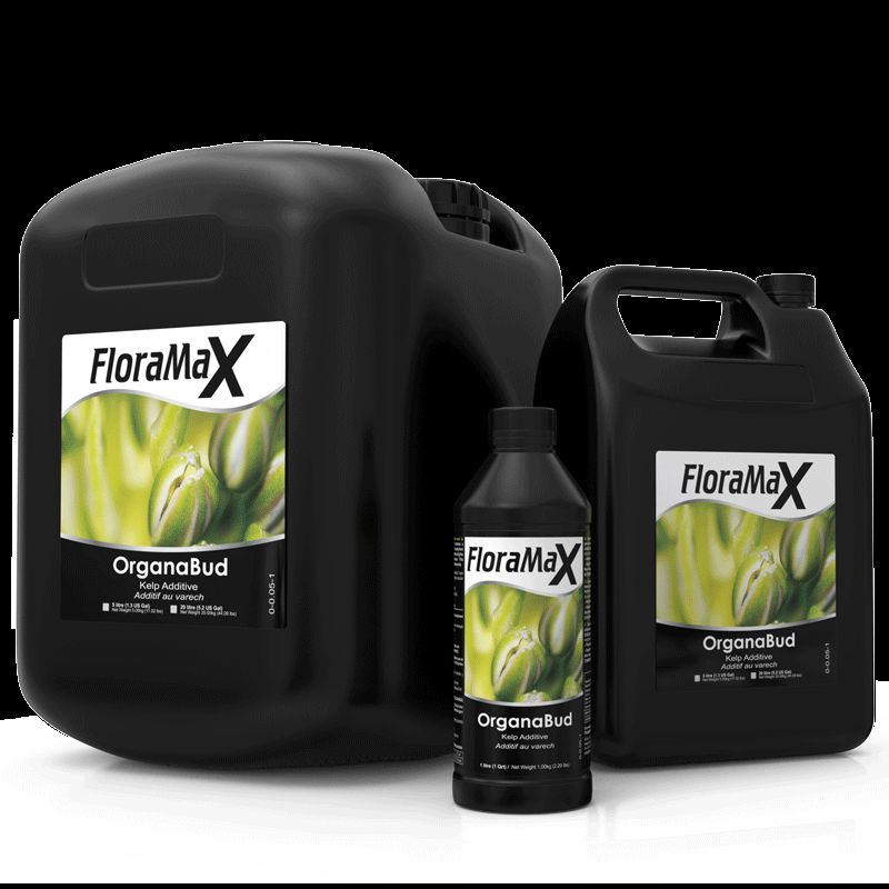 Floramax organabud