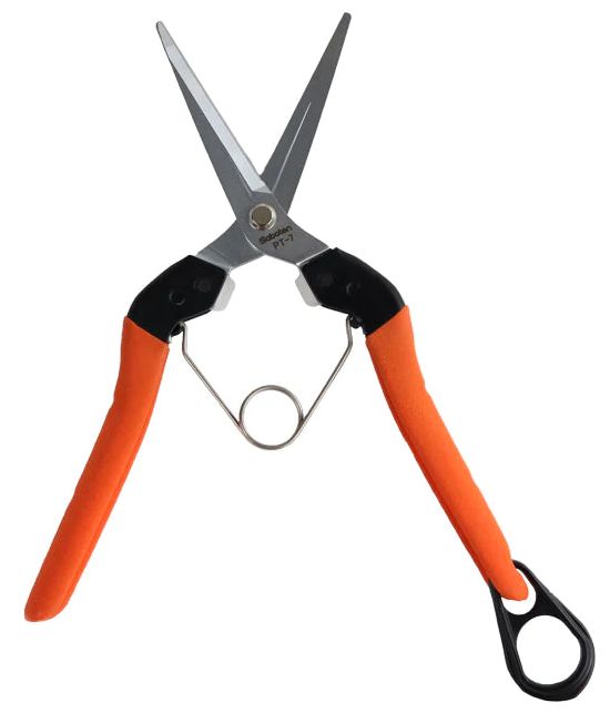 Saboten Harvesting scissors 190mm