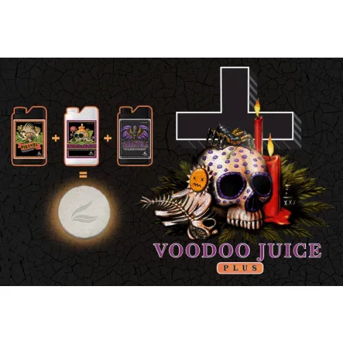 Voodoo Plus 25 Tablets