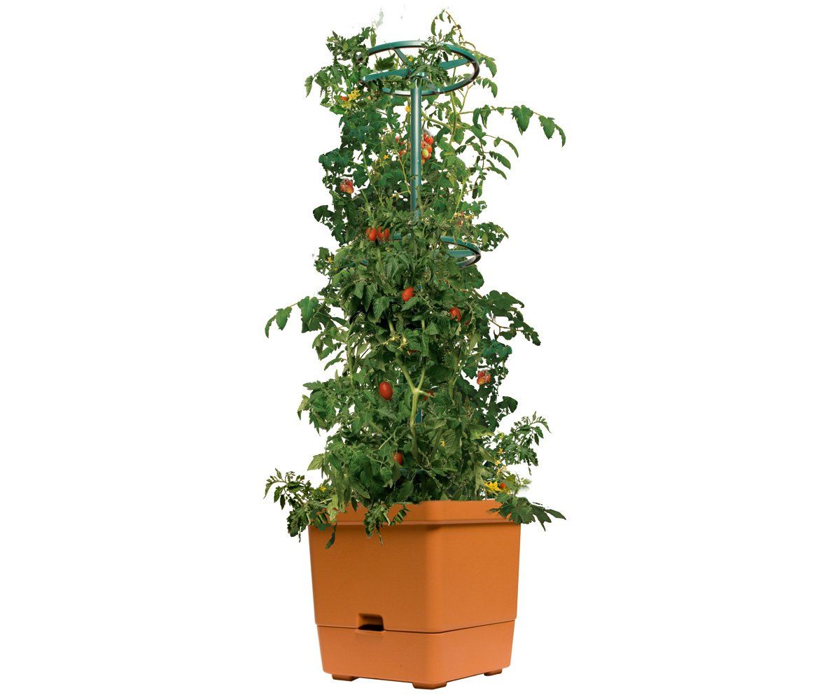 Tomato Tree w/ 3&#39; Tower