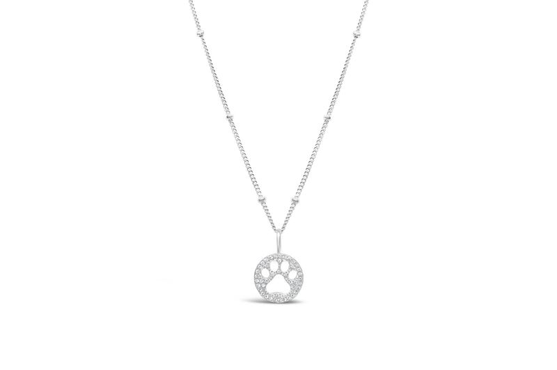 Charm &amp; Chain Necklace - Pave Paw
