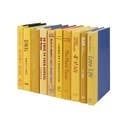 Yellow books for decor