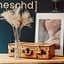 Miscanthus nature beige