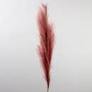 Rust Pampas Grass Stem