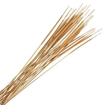 Reed Spadix Pencil