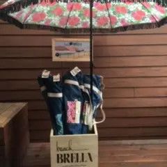 Umbrella Display Box