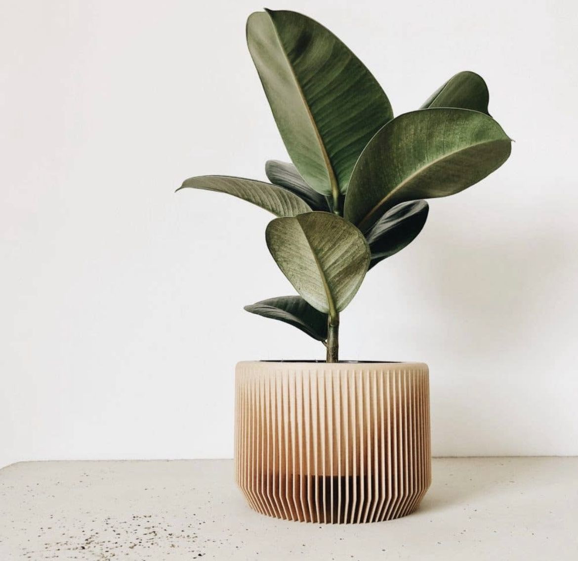 Praha Planter  Natural  L