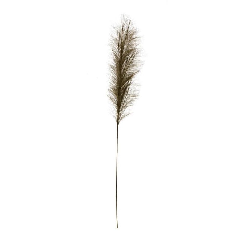 Faux Pampas Grass Plume, Olive Color 48&quot;
