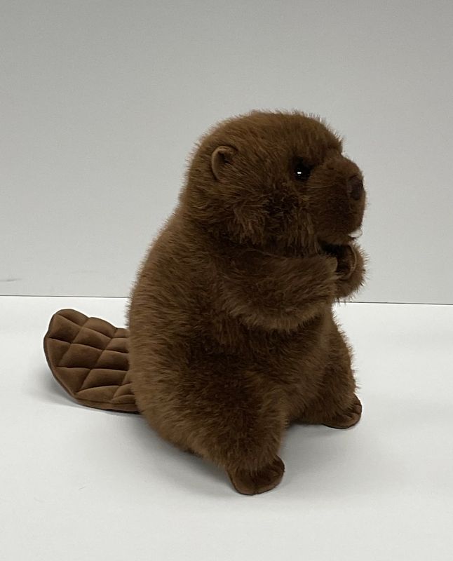 Novelties | CNY Living History