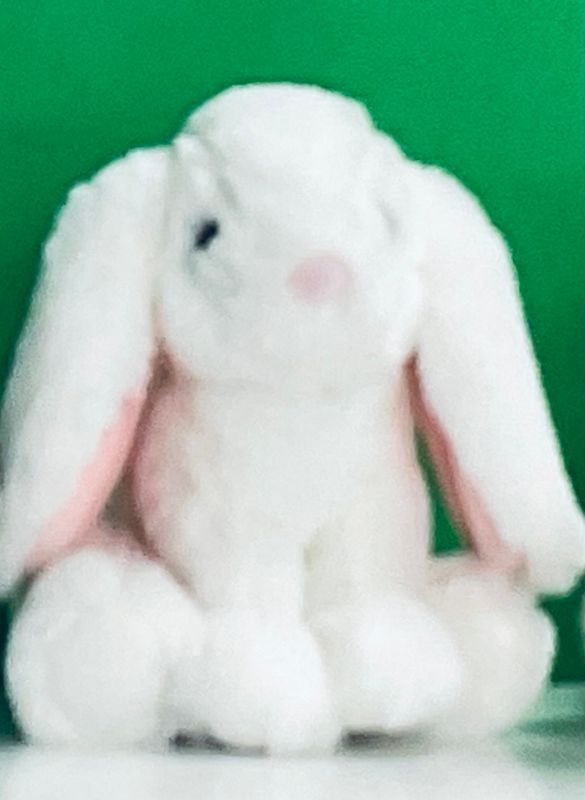 Bunny Mini Asst. Colors 002055