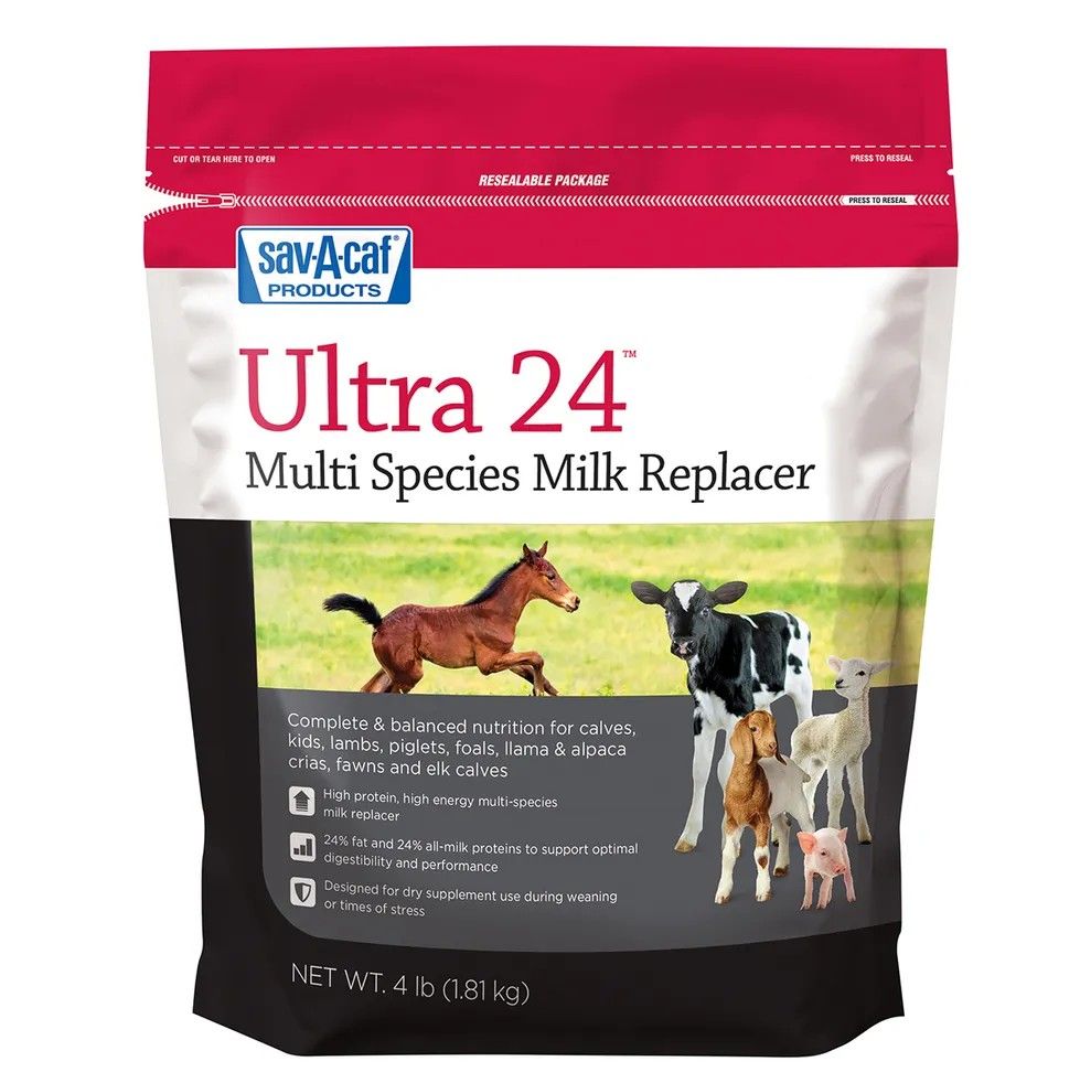 Ultra 24 Multispecies Milk Replacer