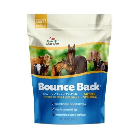 Bounce Back Electrolyte Supplement / Multi-Species