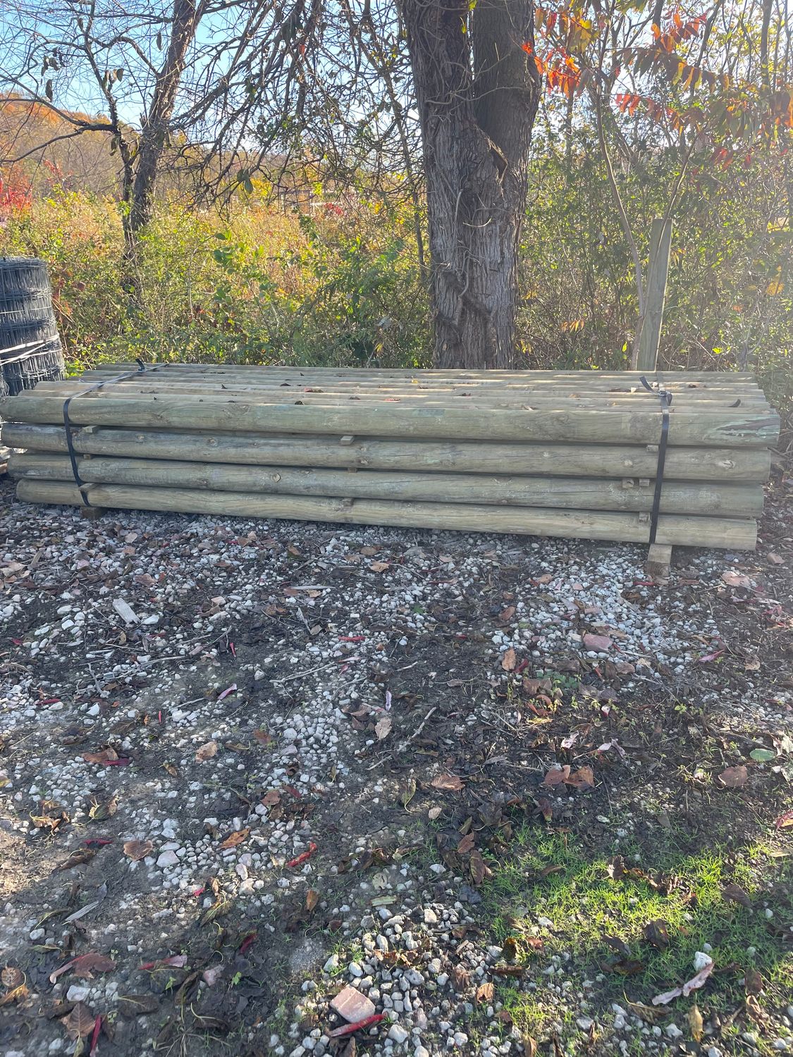 Southern Yellow Pine Treated Cylinder Post - 5" x 12'