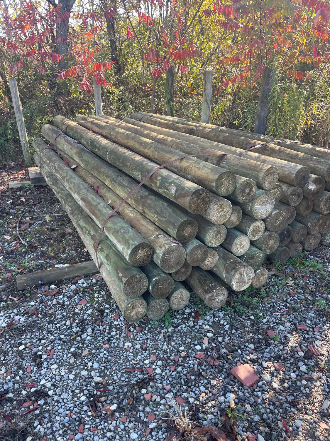 Southern Yellow Pine Treated Tapered Post - 5-6" x 12'