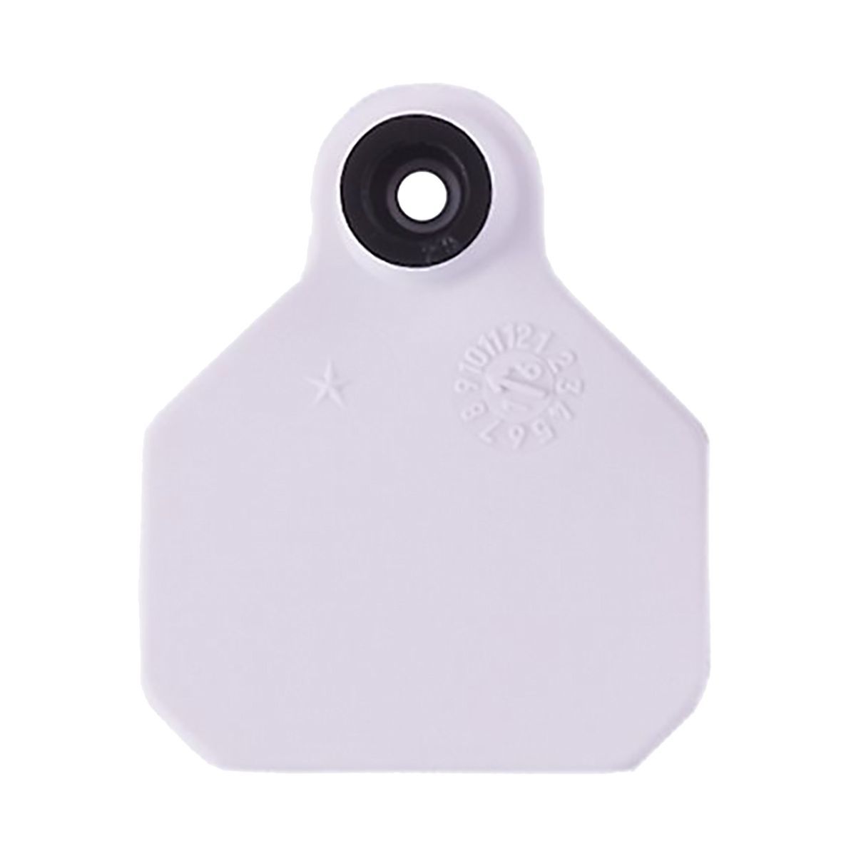 Ear Tag 1* blank, Options: 1* White Blank