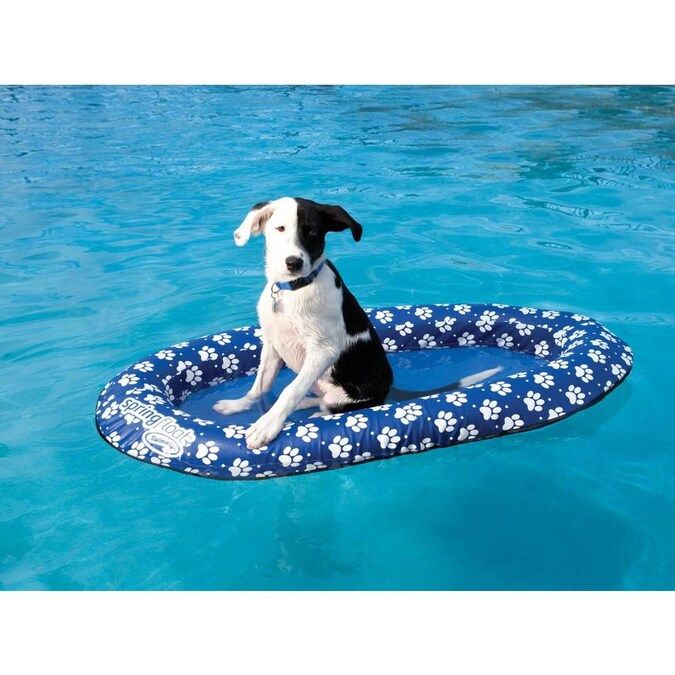 SPRING FLOAT PAWS SMALL