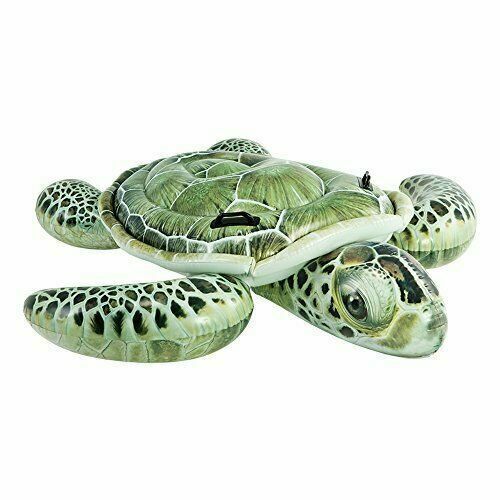 INF SEA TURTLE RIDE ON