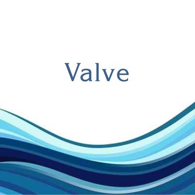 VALVE