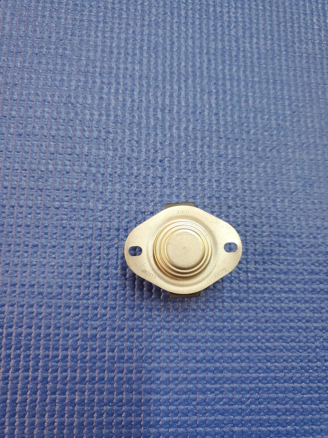 Spectrum Flame Roll-Out Switch 100/250