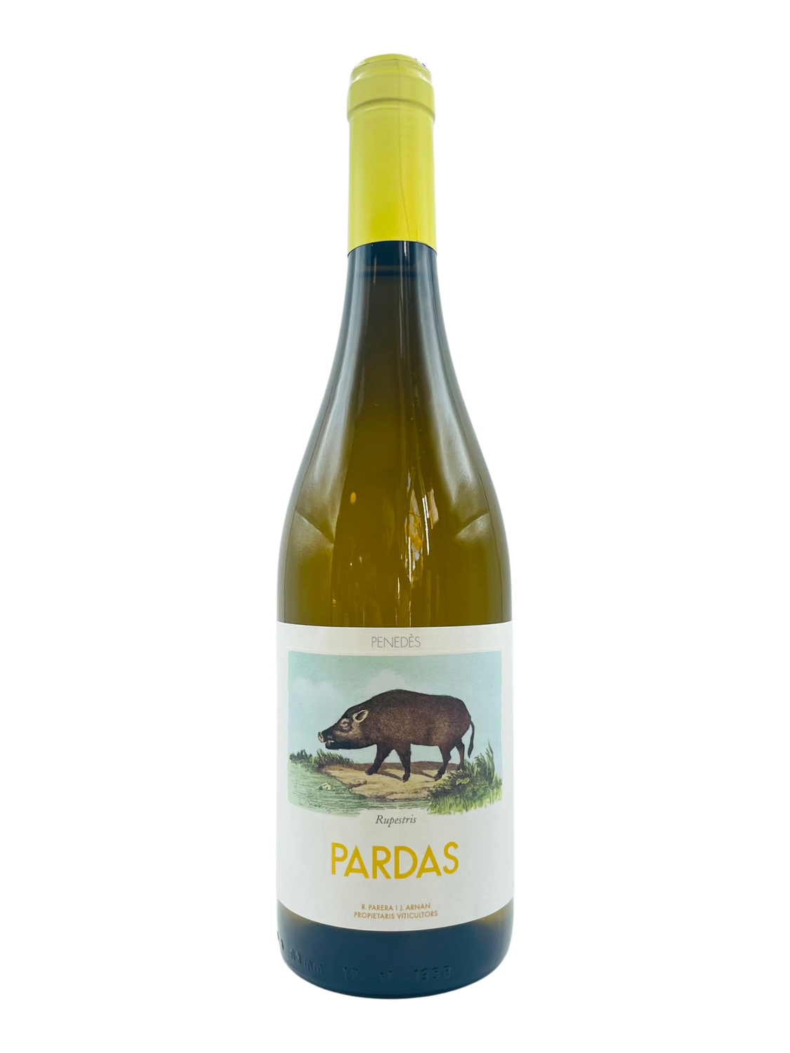 Celler Pardas Rupestris 2024