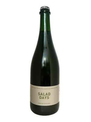Field Recordings Salad Days