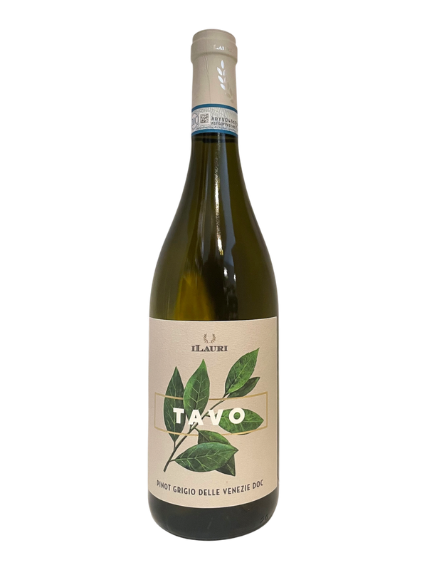 Tavo Pinot Grigio