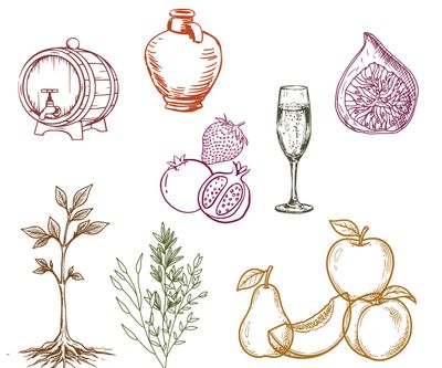 Nine wine style categories: Effervescent, Crisp and Mineral, Delicate and Aromatic, Round and Full, Skin Contact, Light and Fruity, Velvety and Medium-Bodied, Earthy and Structured, Bold and Concentrated.