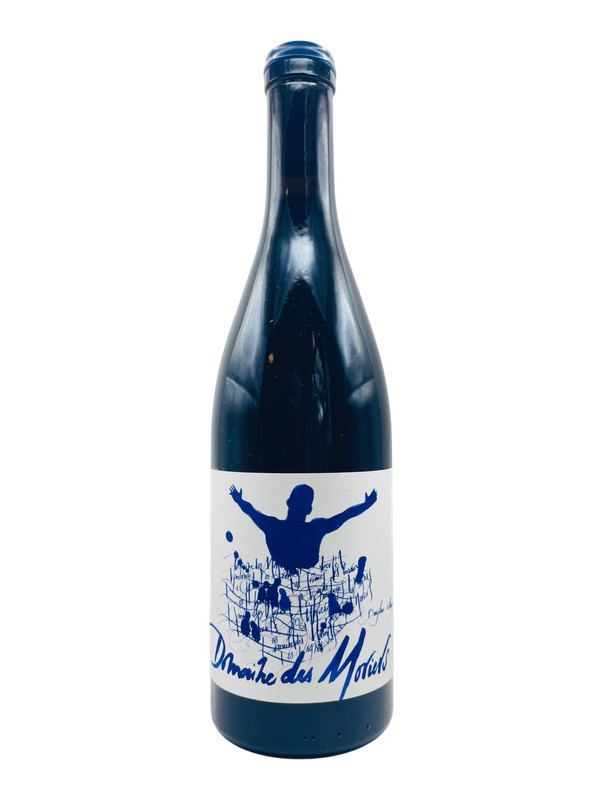 Domaine des Moriers Beaujolais-Villages 2022