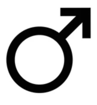 Genitalia piercing (Male) x2