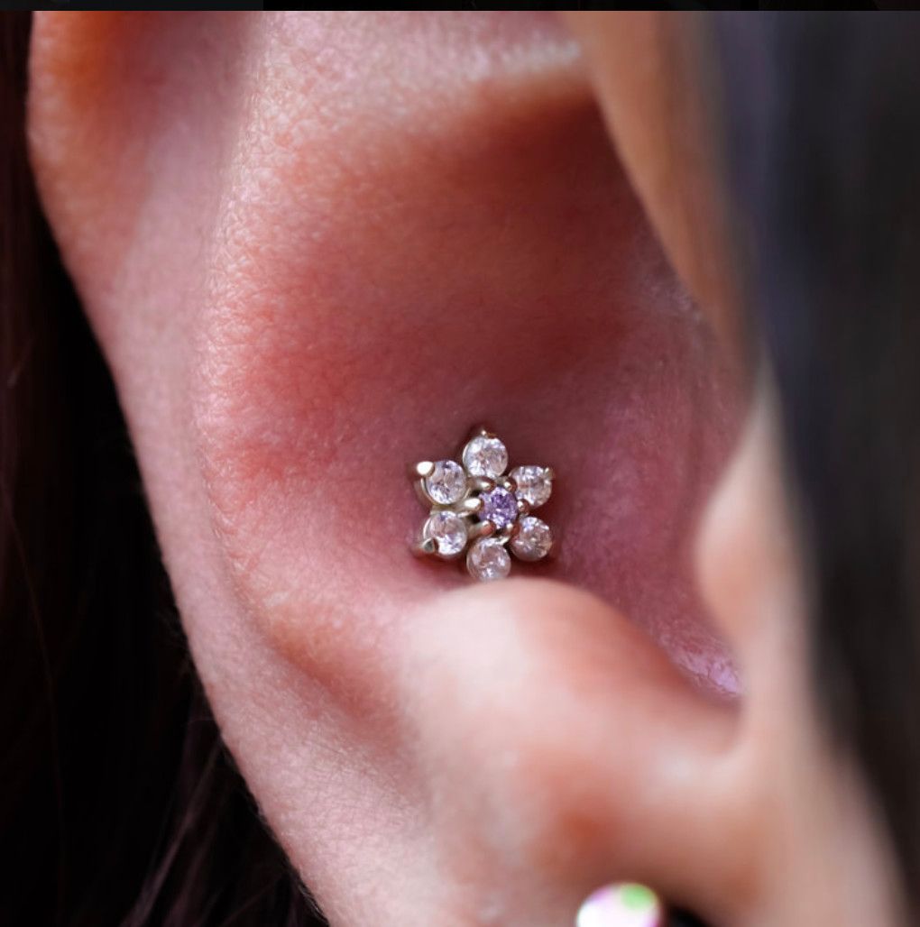Conch piercing