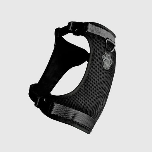 Canada Pooch Everything Harness Black