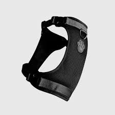 Canada Pooch Everything Harness Black, Size: Small