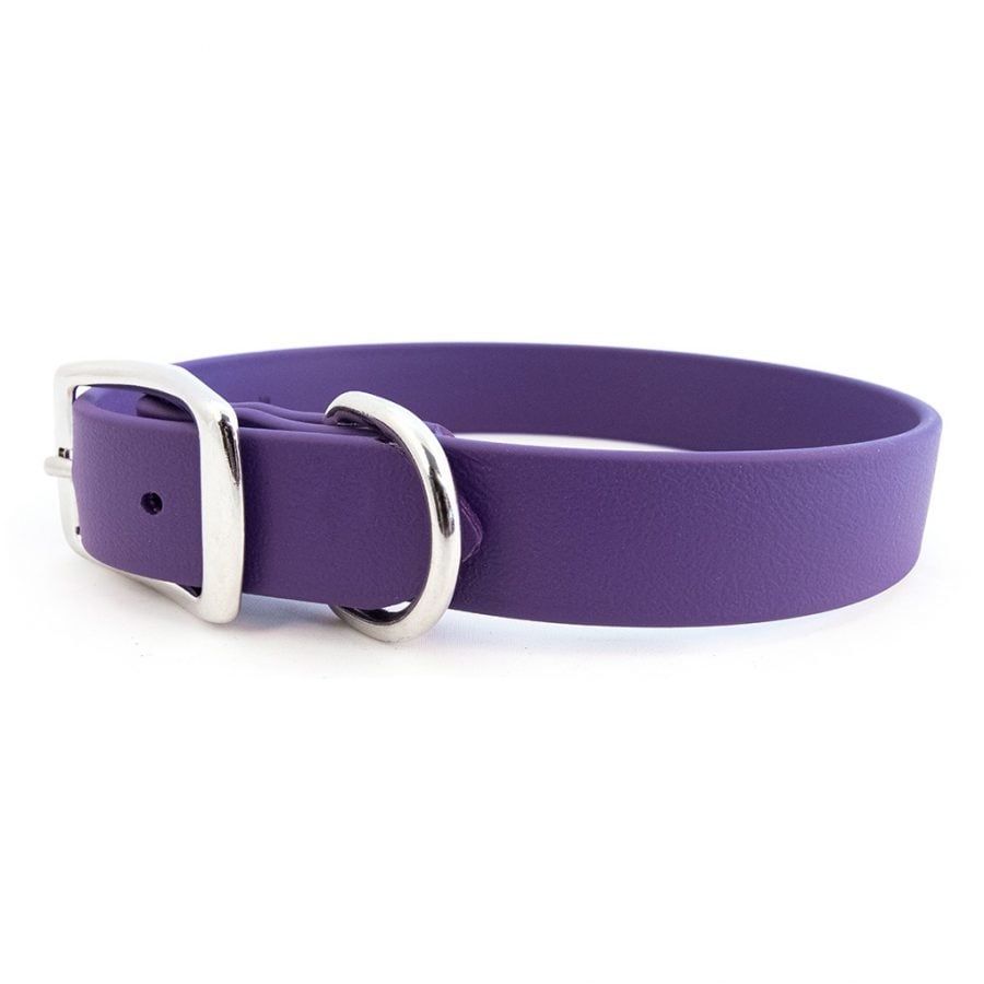 Auburn Collar Sparky&#39;s Choice Buckle Violet, Size: 3/4x14