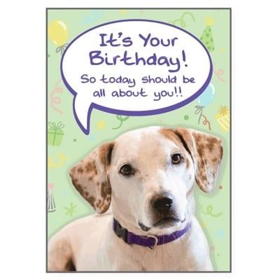 Dog Speak Card Birthday Today Should Be All About You FINAL SALE