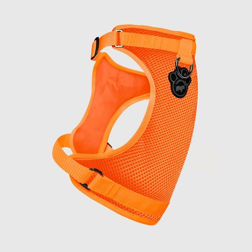 Canada Pooch Everything Harness Orange