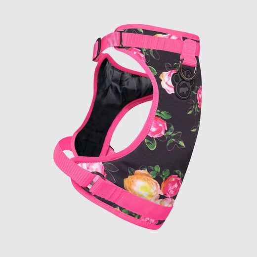 Canada Pooch Everything Harness Floral XL