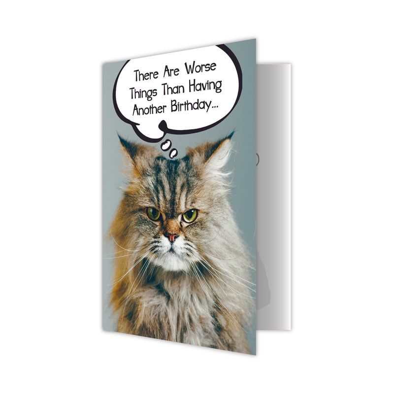 Dog Speak Card Cat Birthday There Are Worse Things than Having Another Birthday FINAL SALE