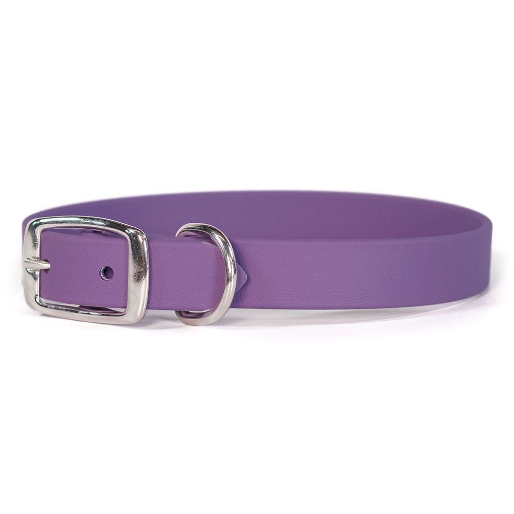 Auburn Collar Sparky&#39;s Choice Buckle Lilac, Size: 3/4x14