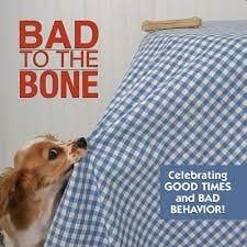 Willow Creek Book Bad to the Bone (FINAL SALE)