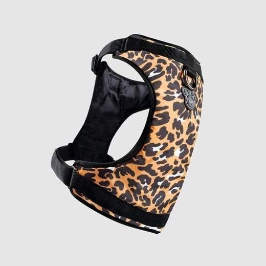 Canada Pooch Everything Harness Leopard