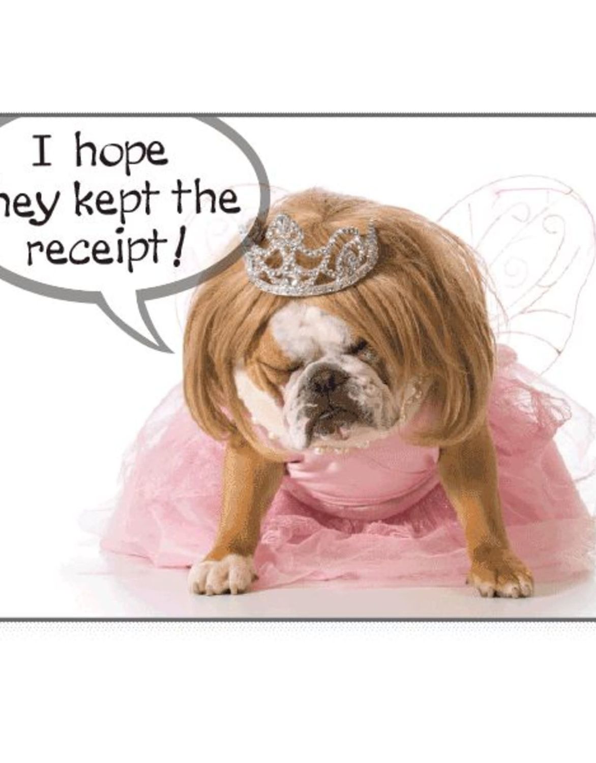 Dog Speak Card Birthday I Hope They Kept the Receipt FINAL SALE