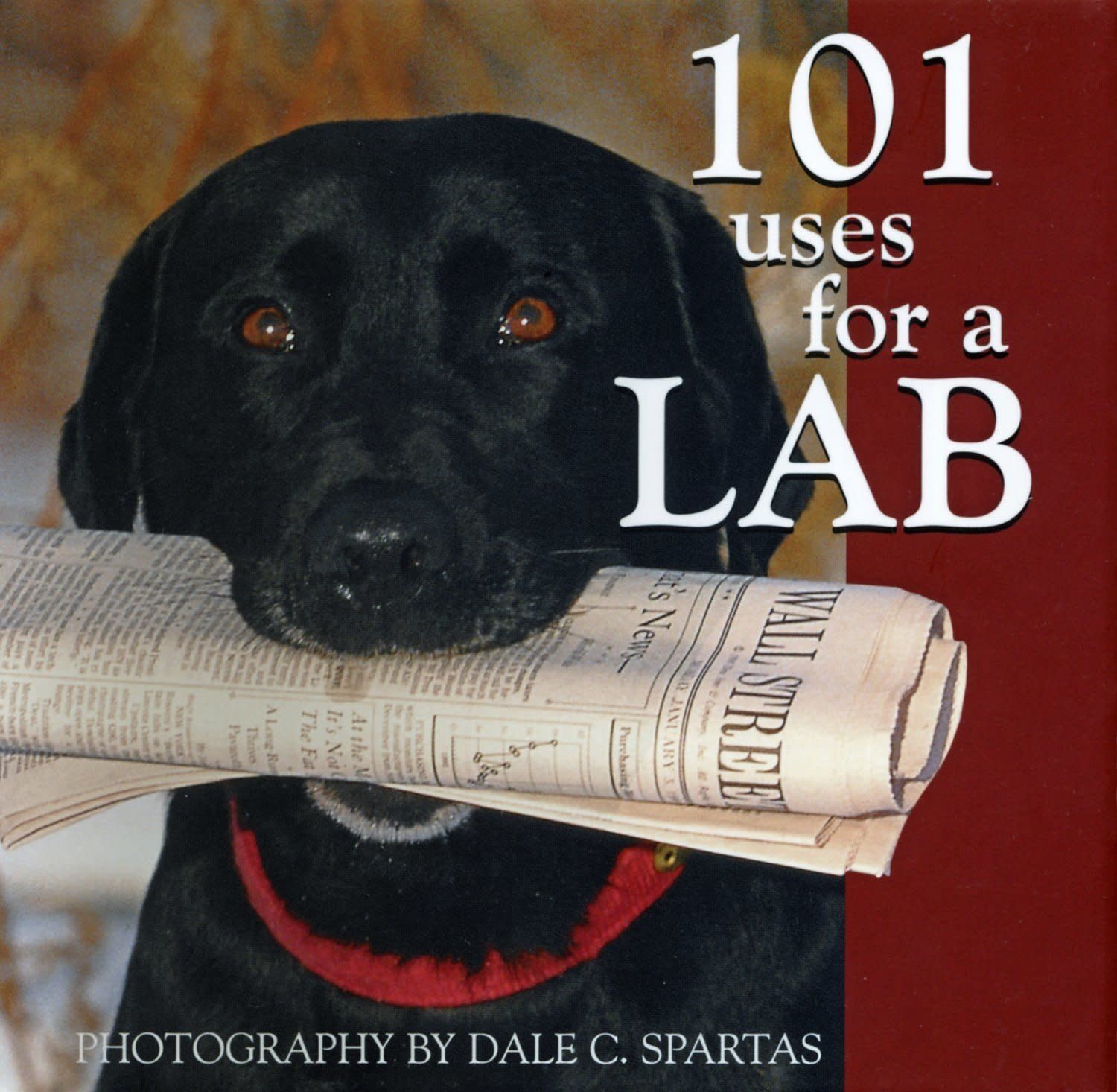 Willow Creek Book 101 Uses for a Lab (FINAL SALE)