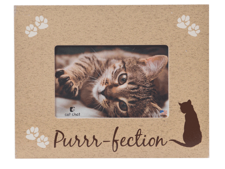 Dog Speak Frame Purrfection FINAL SALE