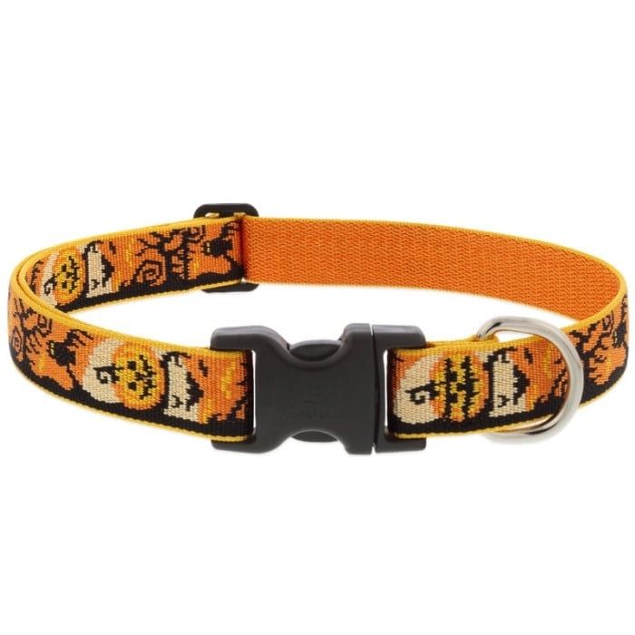 Lupine Halloween Collar Spooky 1/2&quot; 8-12 FINAL SALE