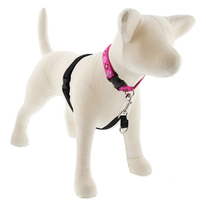 Lupine No Pull Harness Black 3/4&quot; 16-26