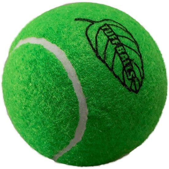 PetSport Tuff Ball Mint Standard 2.5&quot; 2pk FINAL SALE