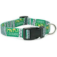 Dog Karma CO Collar Aspen S