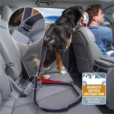 Kurgo Leash to Seatbelt Buckle FINAL SALE