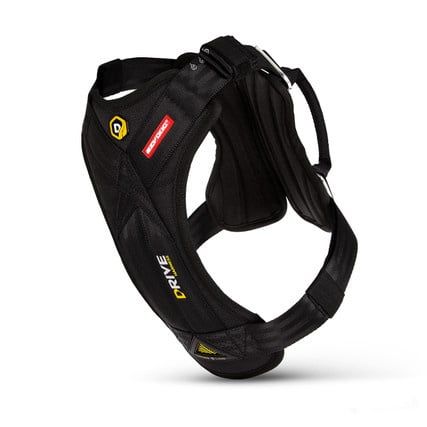 EzyDog Drive Harness L
